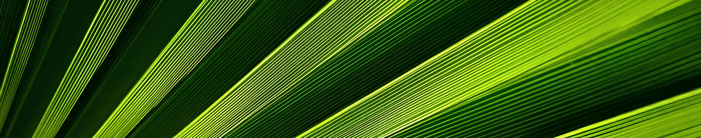 FAQ Background