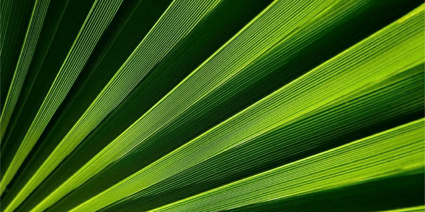Image without alt