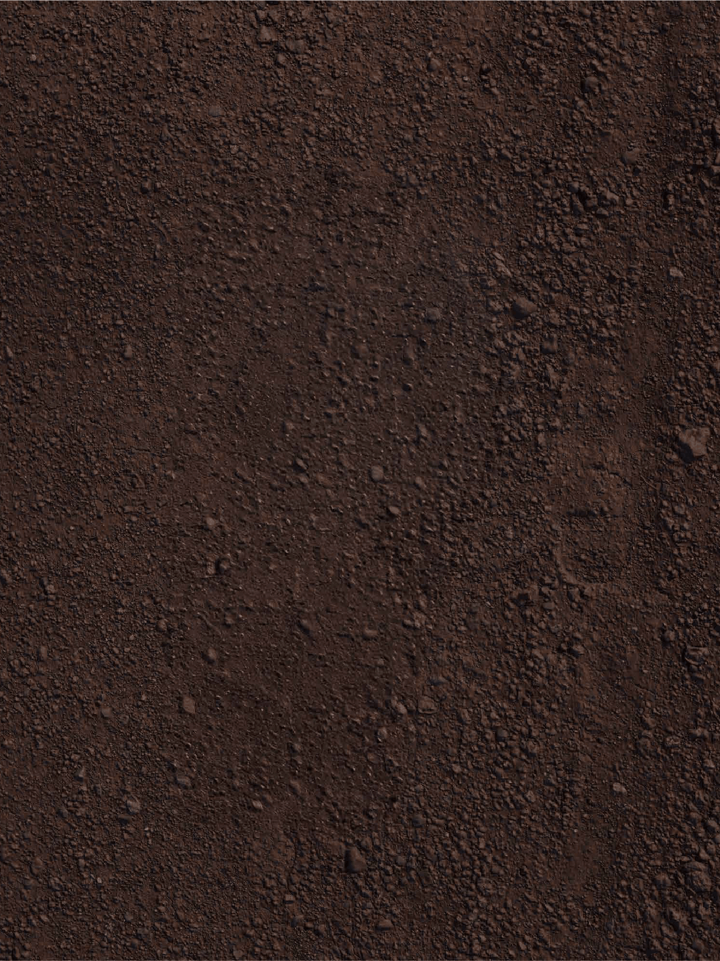 Image without alt