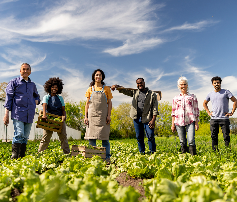 Apoio à Agricultura Familiar