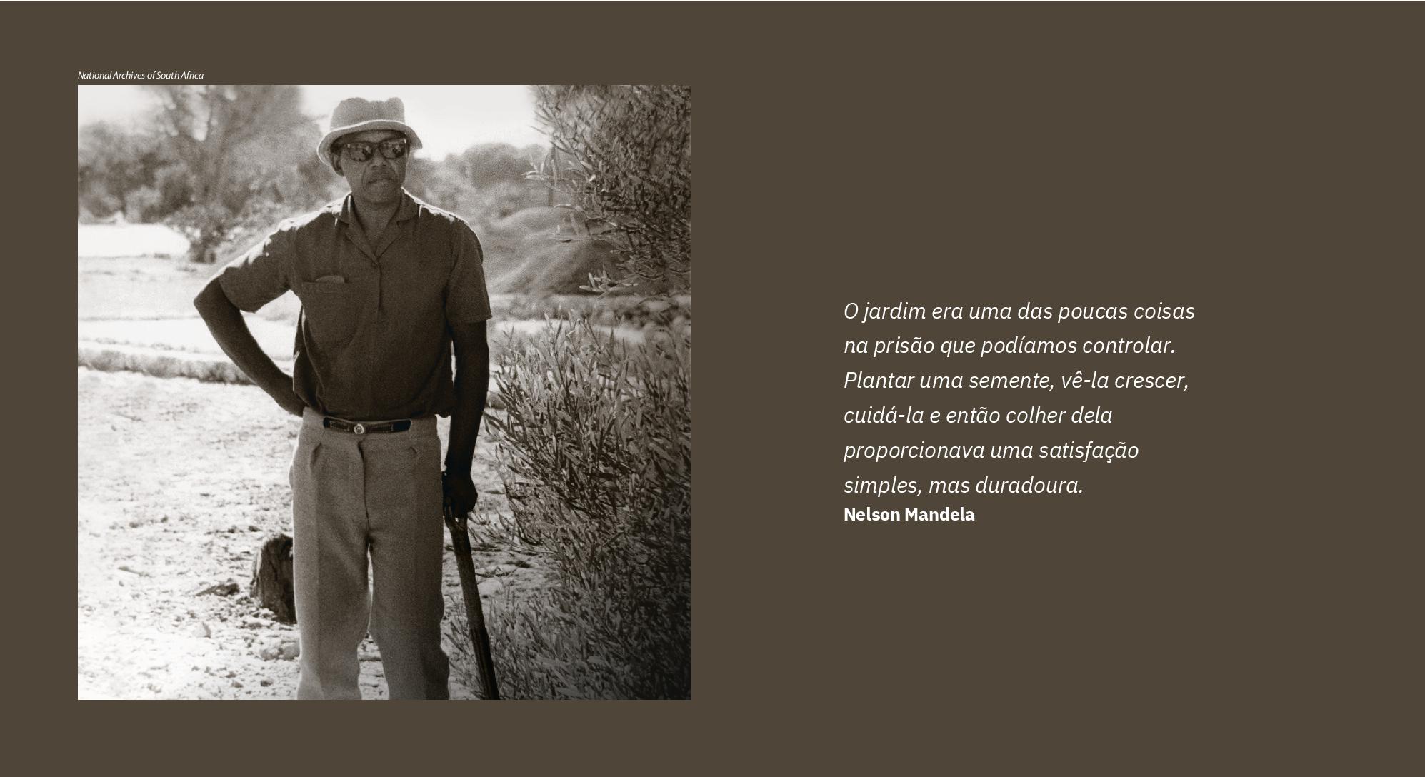 Mandela_catalogo_digital-011