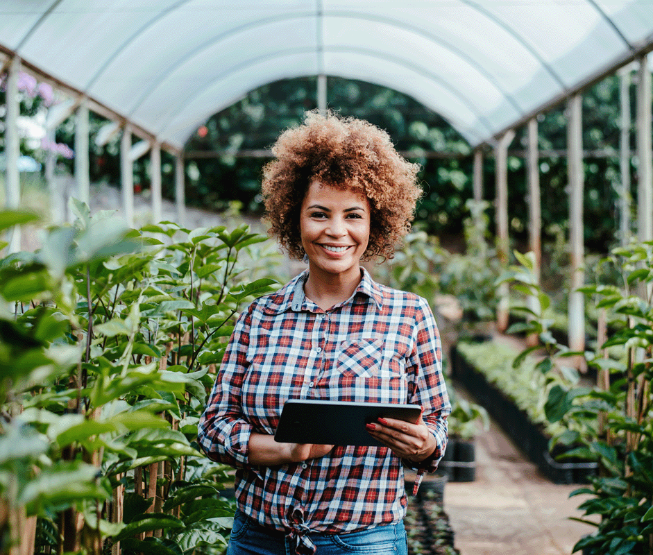 FNO Amazônia Empresarial Verde